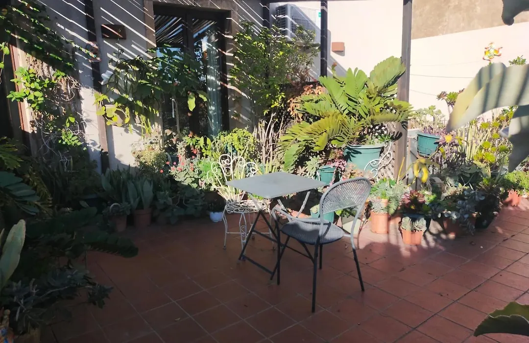 Crociferi B&B-1