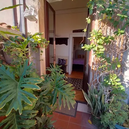 Crociferi B&B-3